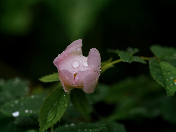 Astuces et Inspirations pour une Chambre Cocooning et Confortable