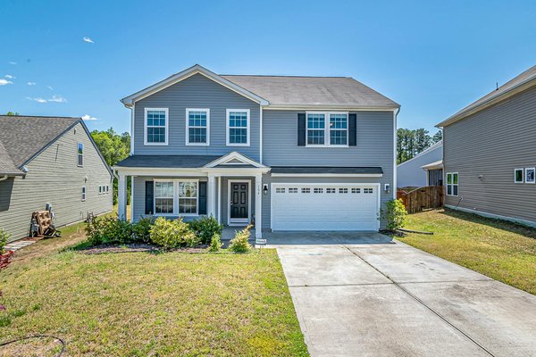 Acheter des semences en ligne : guide complet